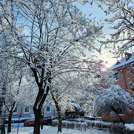 Art Studio Bnb Craiova Exterior photo